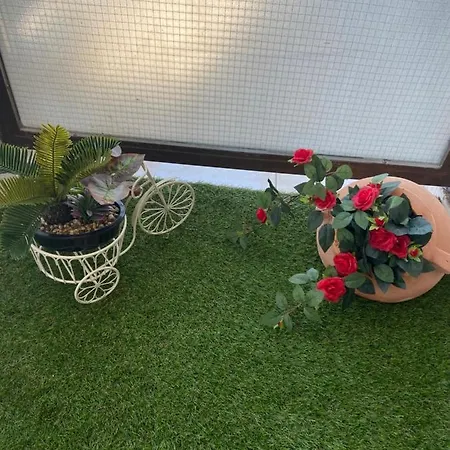 Διαμέρισμα Zoi's Central *