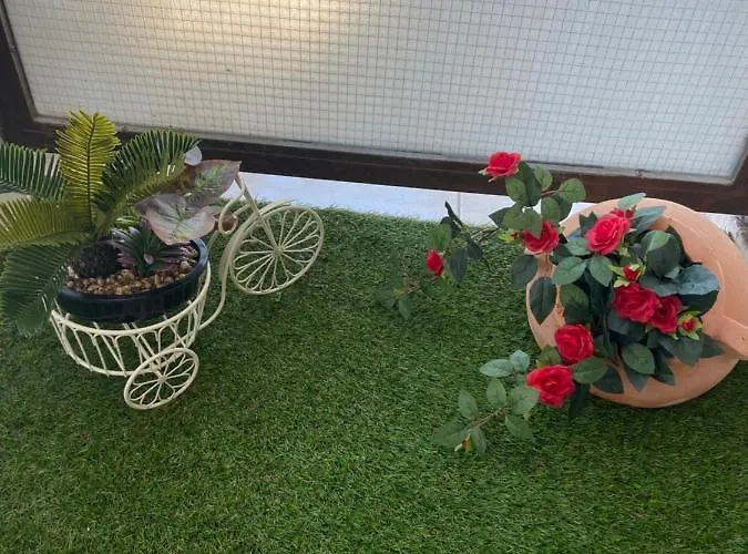 Apartman Zoi's Central *